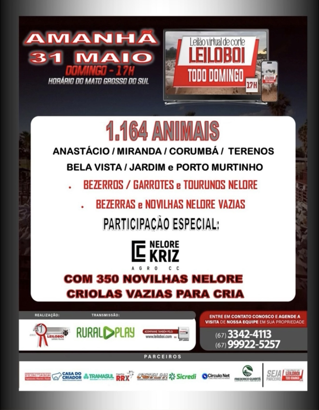 LEILÃO LEILOBOI VIRTUAL DE CORTE