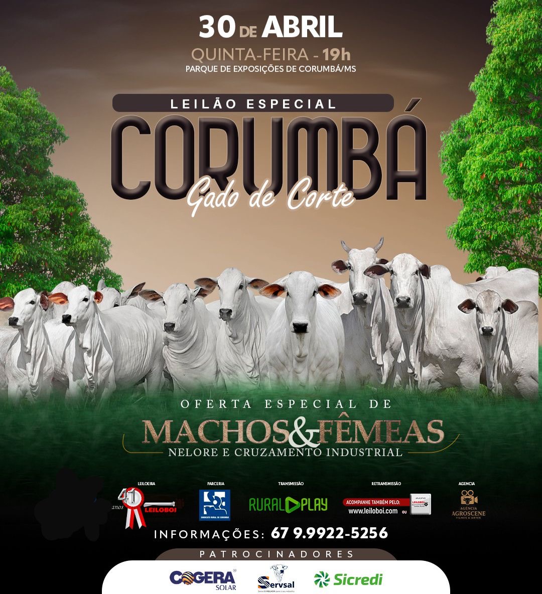 LEILÃO ESPECIAL CORTE CORUMBÁ e PANTANAL - CORUMBÁ/MS