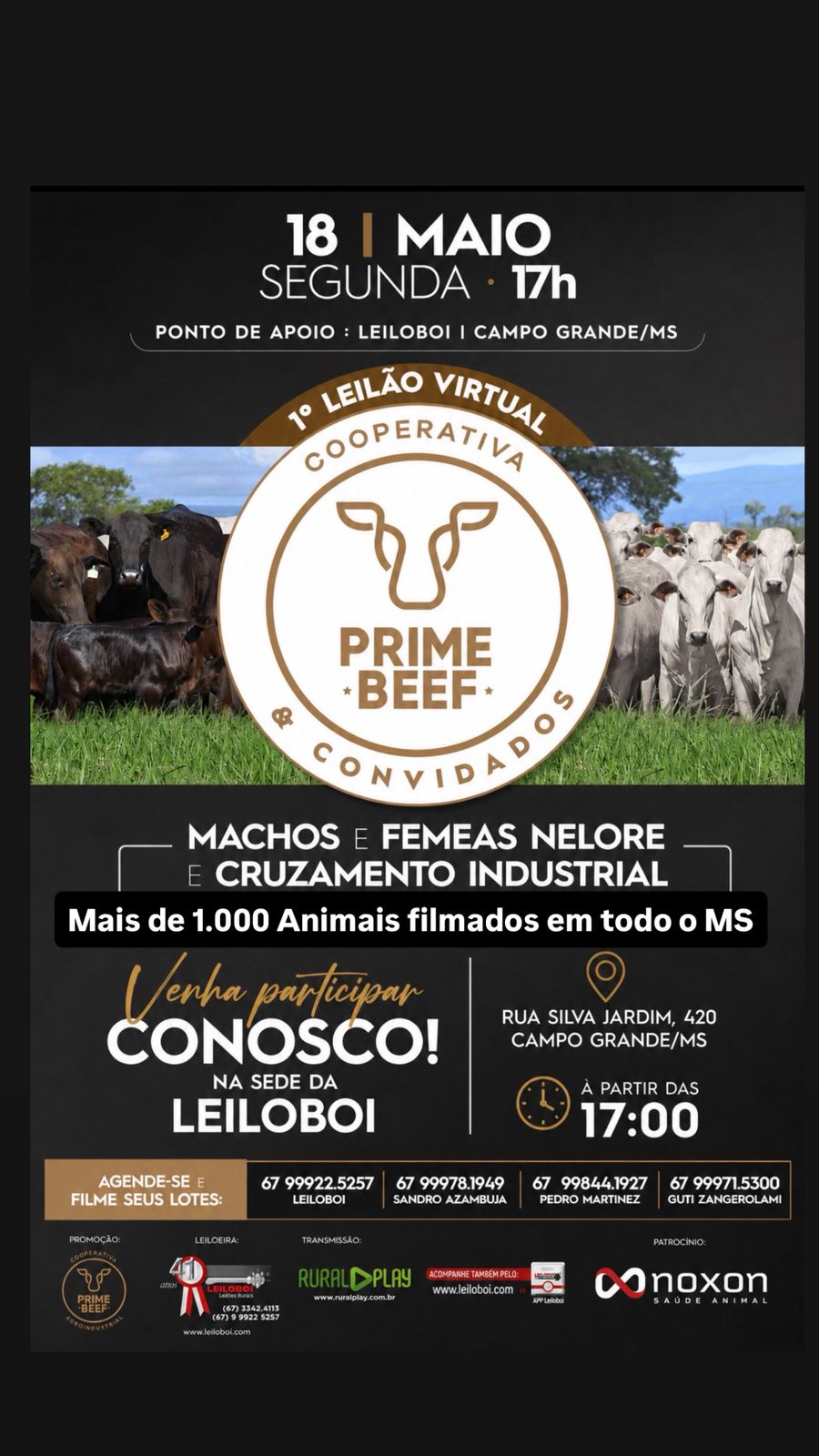 1º Leilão Virtual Cooperativa Prime Beef e Convidados