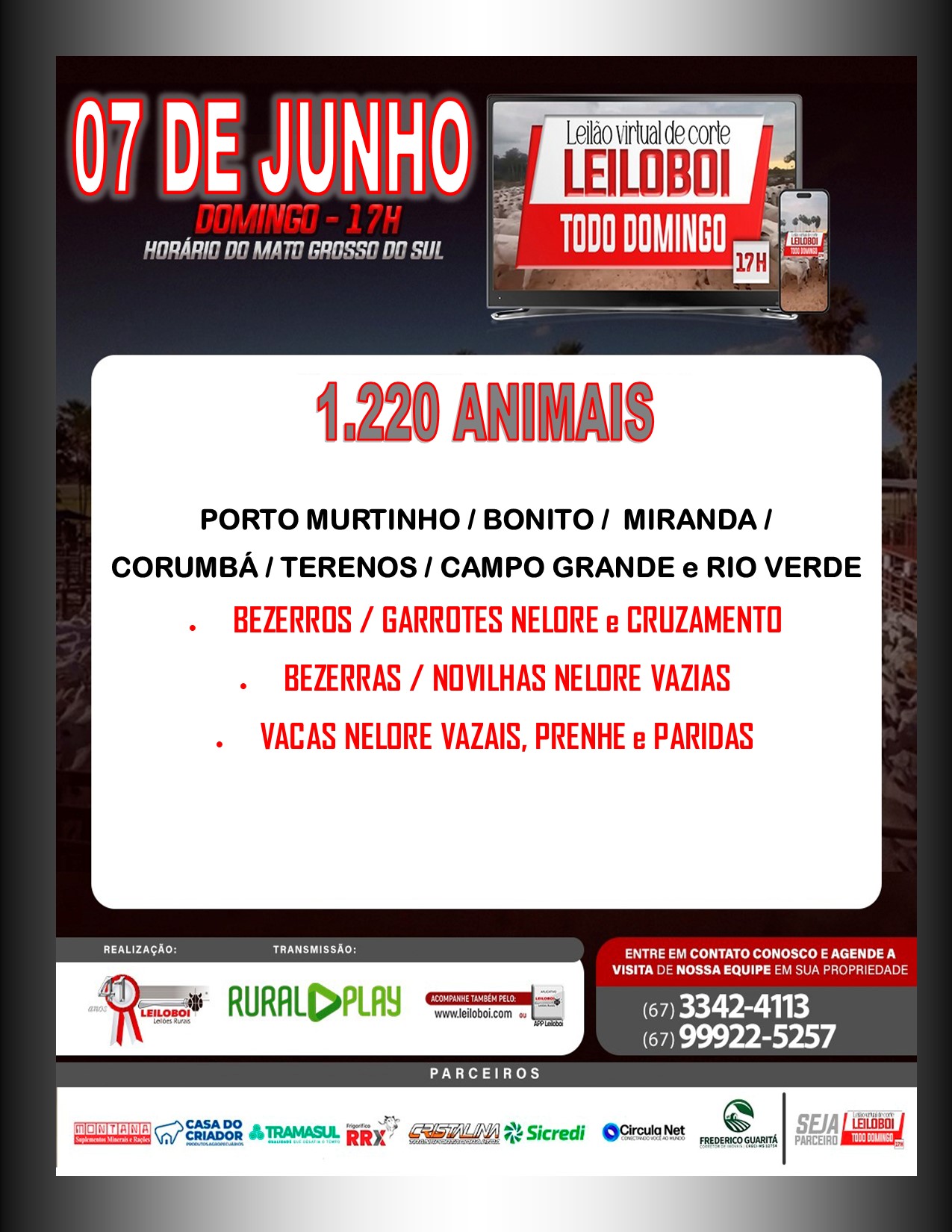 LEILÃO LEILOBOI VIRTUAL DE CORTE