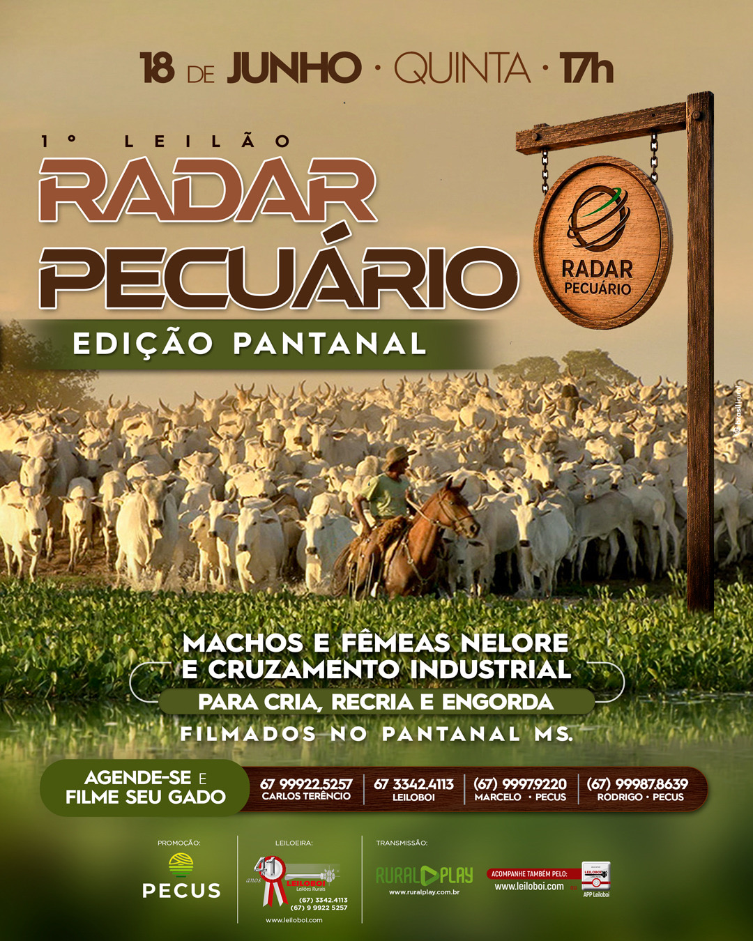 1º LEILÃO VIRTUAL RADAR PECUÁRIO - EDIÇÃO PANTANAL